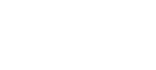 Mykado - Croissance d'activités au moyen de projets digitaux - Client Europa Group